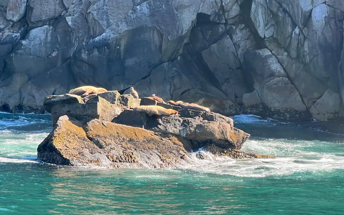 Passagiere auf dem offenen Deck eines Gletscherkreuzfahrtschiffs in den Kenai Fjords