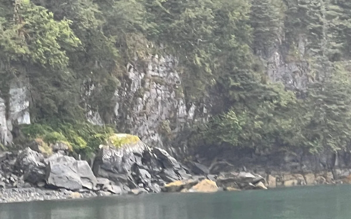 A catamaran standing off the face of a tidewater glacier in Prince William Sound