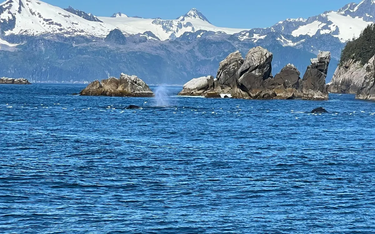 Boats at the small boat harbour in Seward on Resurrection Bay with the mountains behind
