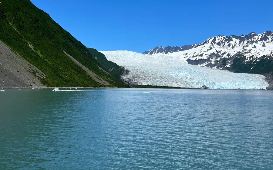 Tour Escolha do Capitão no Parque Nacional Kenai Fjords