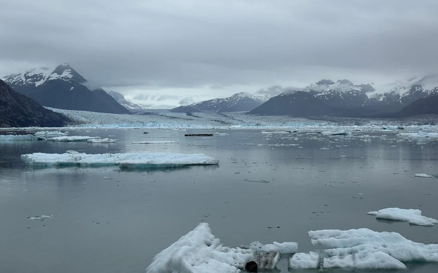 Cruzeiro de 6 Horas ao Glaciar Columbia e à Vida Selvagem