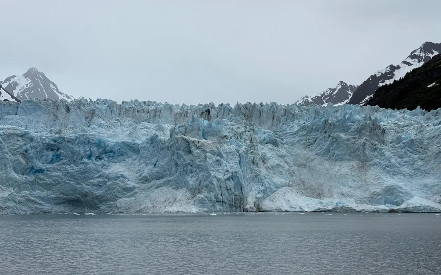 7.5-hour Meares Glacier & Wildlife Cruise