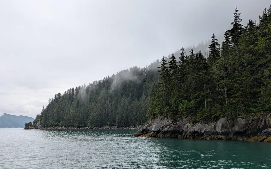 Cruzeiro ao Glaciar e à Vida Selvagem no Parque Nacional Kenai Fjords