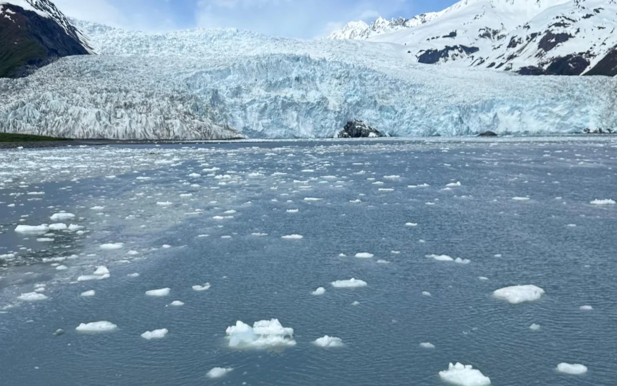 Un ghiacciaio di marea che incontra il mare nel Kenai Fjords National Park, Alaska, con il ghiaccio che si stacca dalla parete nella baia